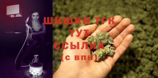 гидра Инта