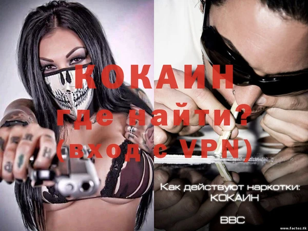 гидра Инта