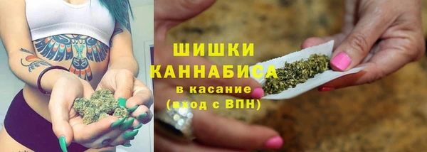 гидра Инта