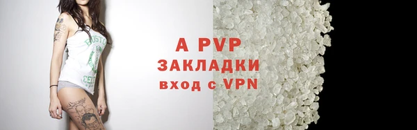 ALPHA PVP Иннополис