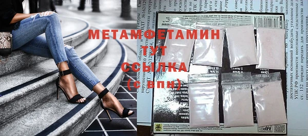 гидра Инта