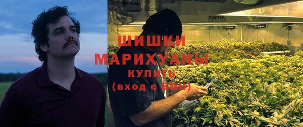 прущая мука Инсар