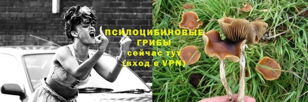 амфетамин Каменногорск