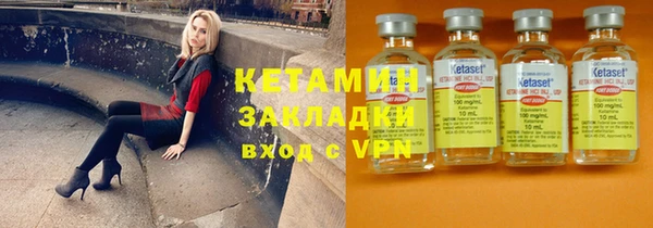гидра Инта