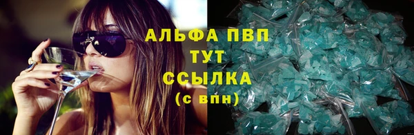 гидра Инта
