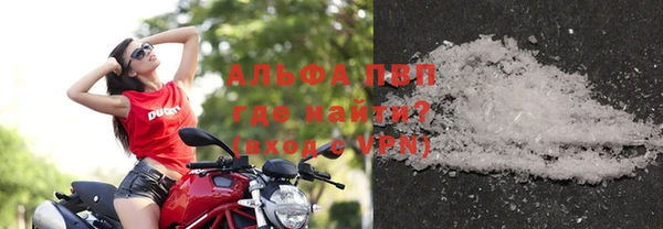 ALPHA PVP Иннополис