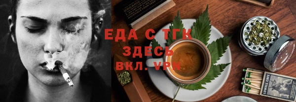 гидра Инта