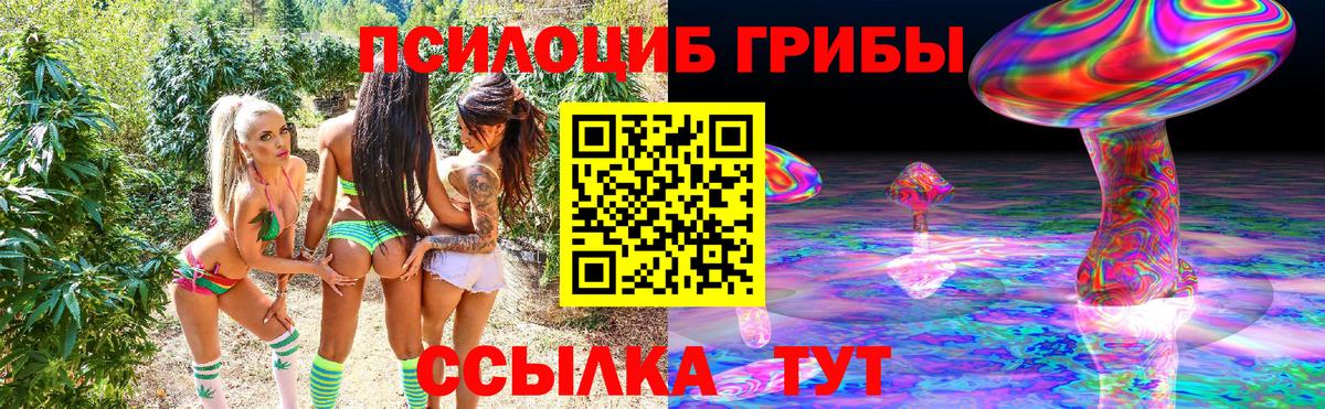 Балашиха  Псилоцибиновые грибы GOLDEN TEACHER  как найти наркотики  Вход с VPN 